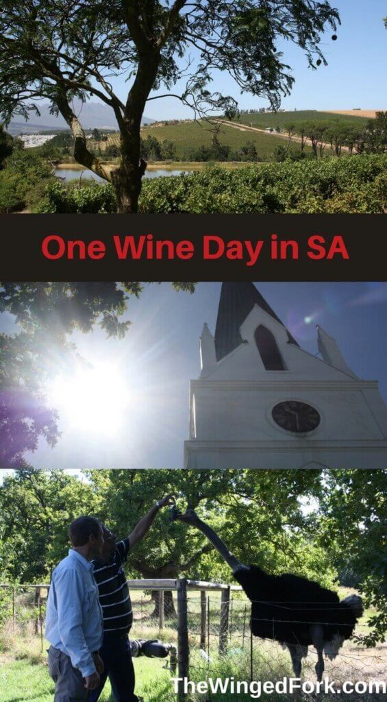 SA #Wine tasting in #stellenbosch and #Franschoekk - theWingedfork