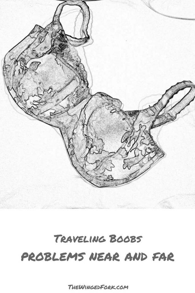 traveling-boobs-problems-near-and-far - TheWingedFork