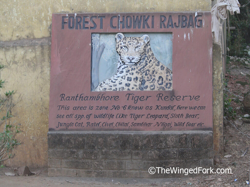 Forest-Chowki-Rajbagh---TheWingedFork