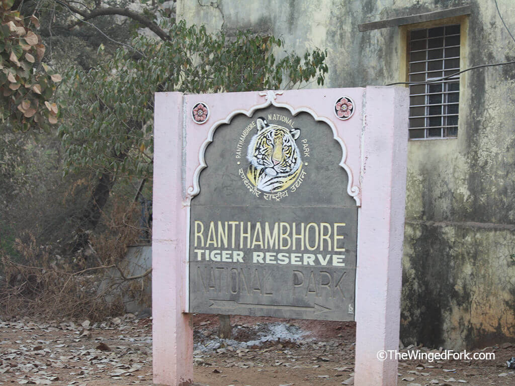 Welcome-to-Ranthambore India---TheWingedFork