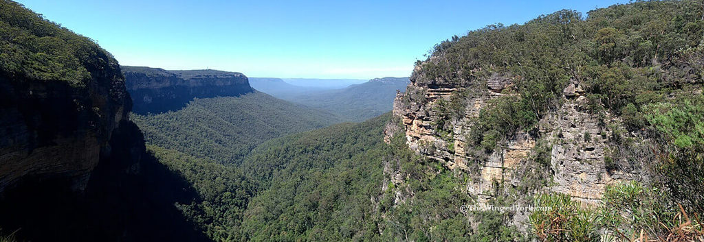 A view of the Australian Blue Mountains from one of the lookout points - TheWingedFork