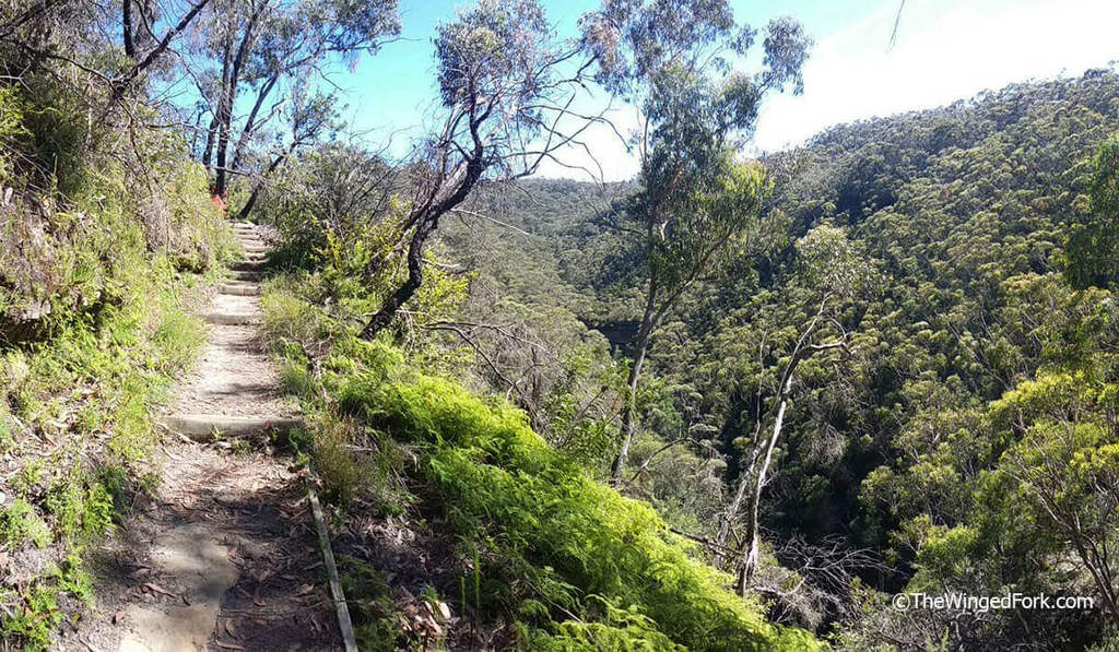 Track from Fairmont Resort to Wentworth Falls in the Blue Mountains National Park.