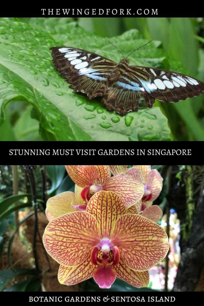 Stunning Gardens in Singapore - Sentosa and Botanic Gardens - TheWingedFork
