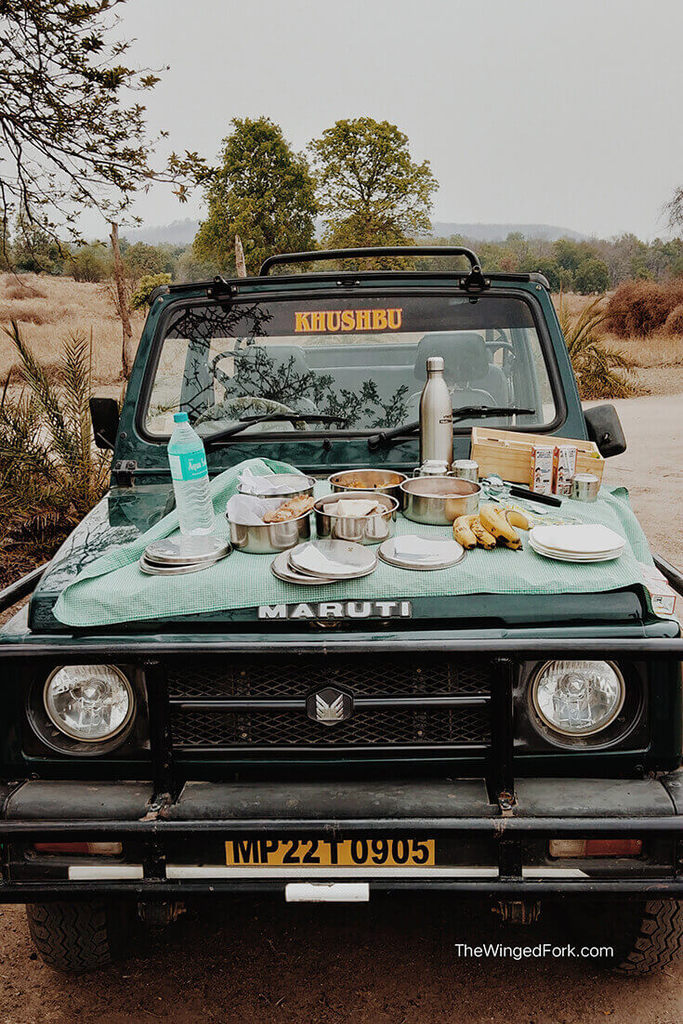 Breakfast on a bonnet in Pench Tiger Reserve.