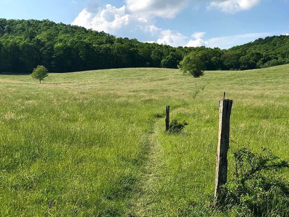 The Appalachian Trail - Greg from Appalachian Trail Hikes