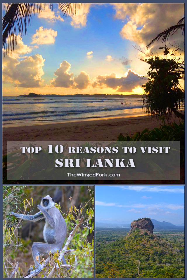 Top 10 Reasons to Visit Sri Lanka - By Amar from Gap Year Escape