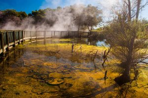 Top things to do in Rotorua, New Zealand - Alex from Discover Aotearoa