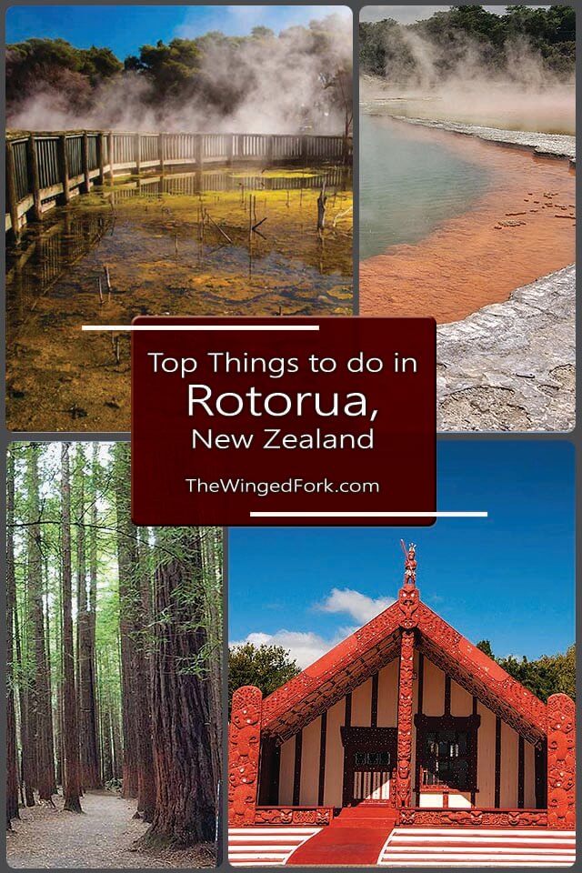 Top things to do in Rotorua, New Zealand - By Alex from Discover Aotearoa