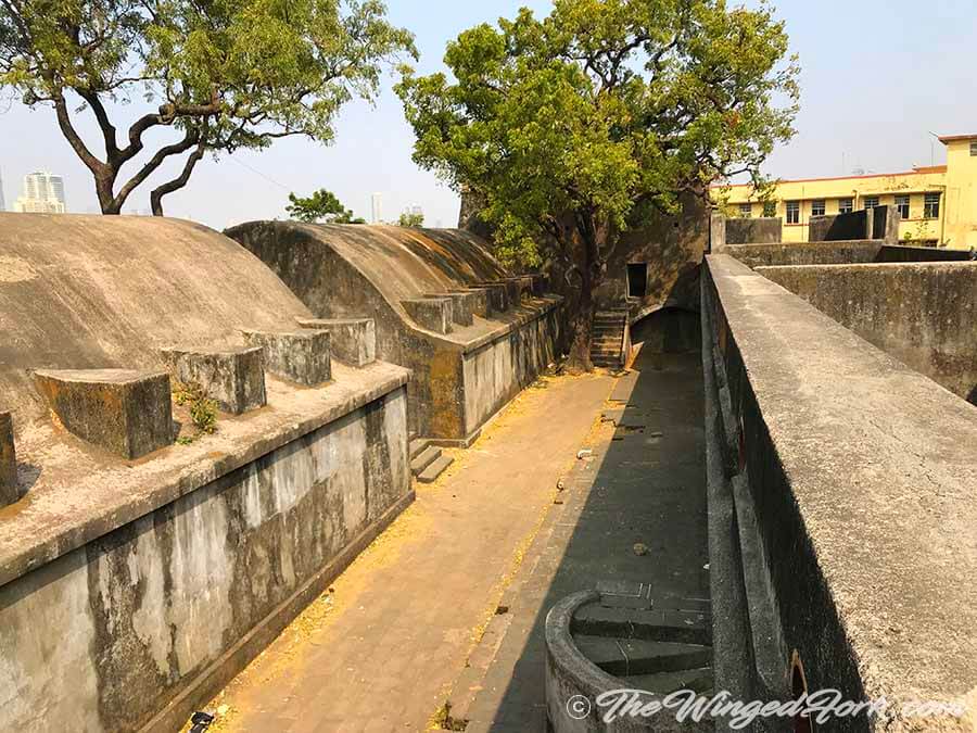 On one of the ramparts of Sewri Fort - Pic by Abby from TheWingedFork