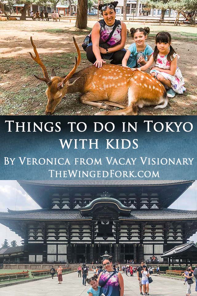 Things to do in Tokyo with kids - By Veronica from Vacay Visionary