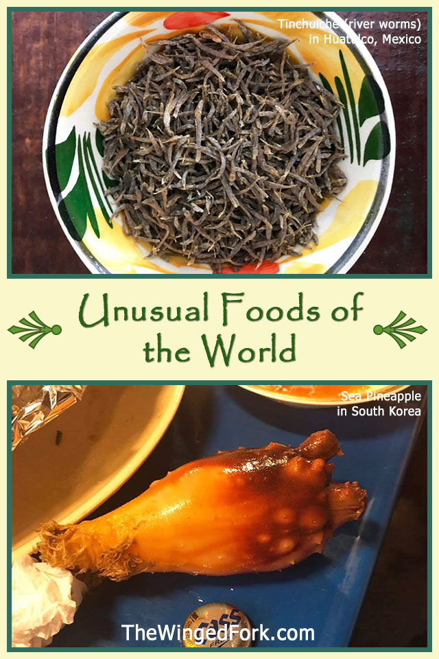 Unusual Foods of the World - TheWingedFork