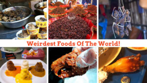 Collage of weird foods from around the globe.
