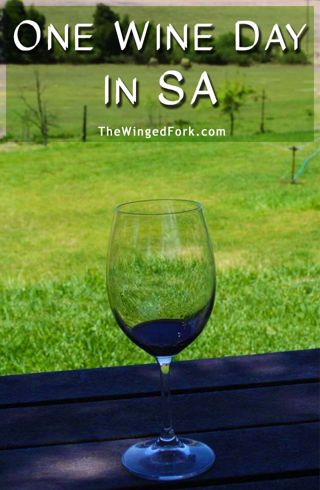 One day touring the #Wine region of #Capetown #South Africa - #TheWingedFork