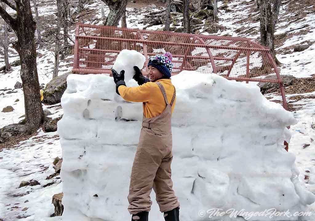 Layering ice blocks to build the bigger sized family igloo - Pic by Abby from TheWingedFork