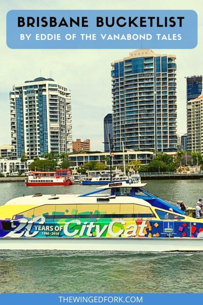Pinterest image of a city catmaran in Brisbane.