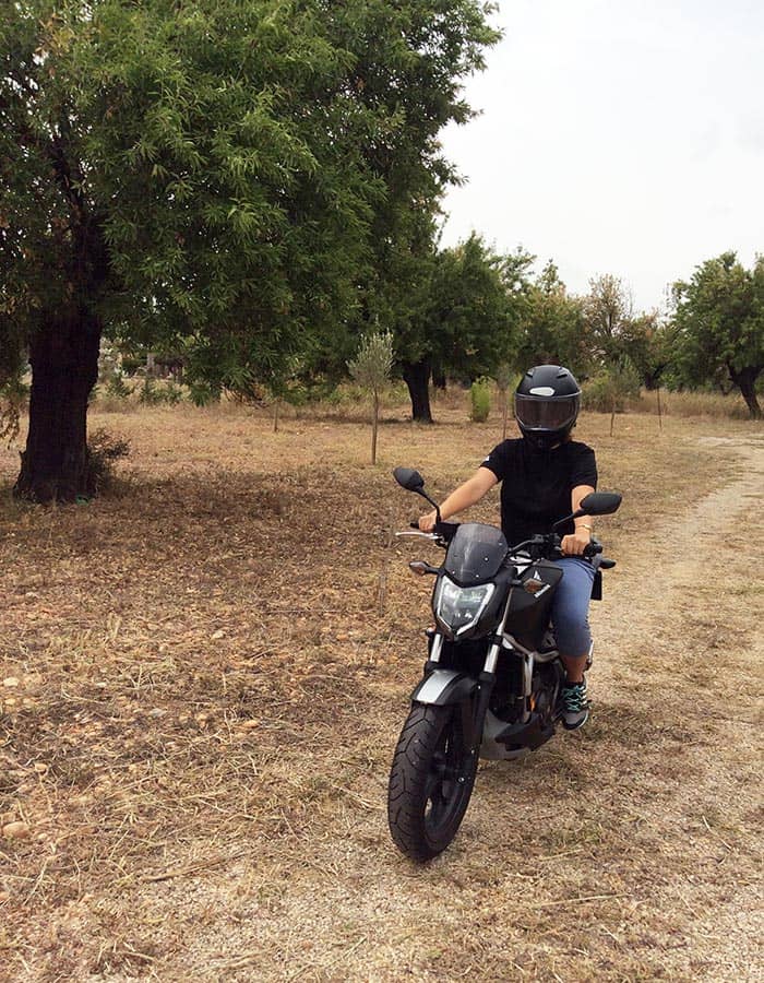 Picture of lady on a bike among olive trees.