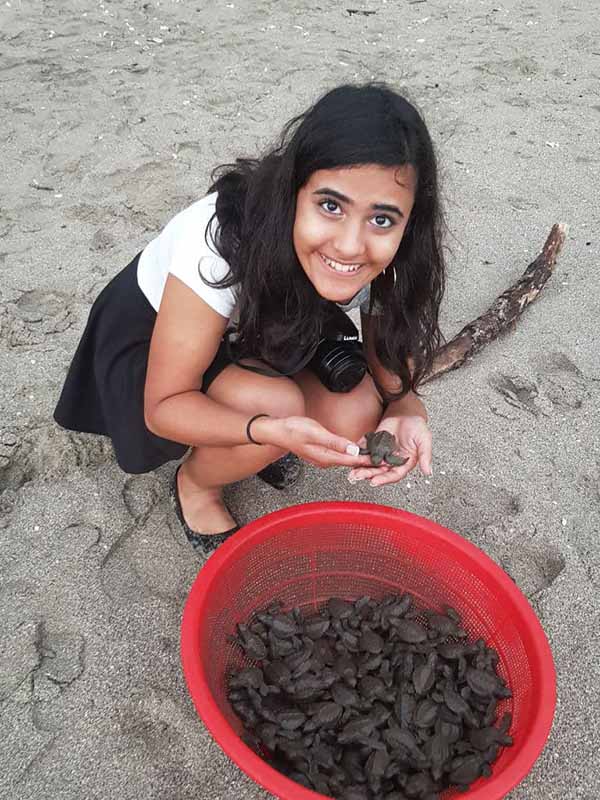 Releasing Olive Ridley turtle hatchlings into the sea at Playa del Flor in Nicaragua.