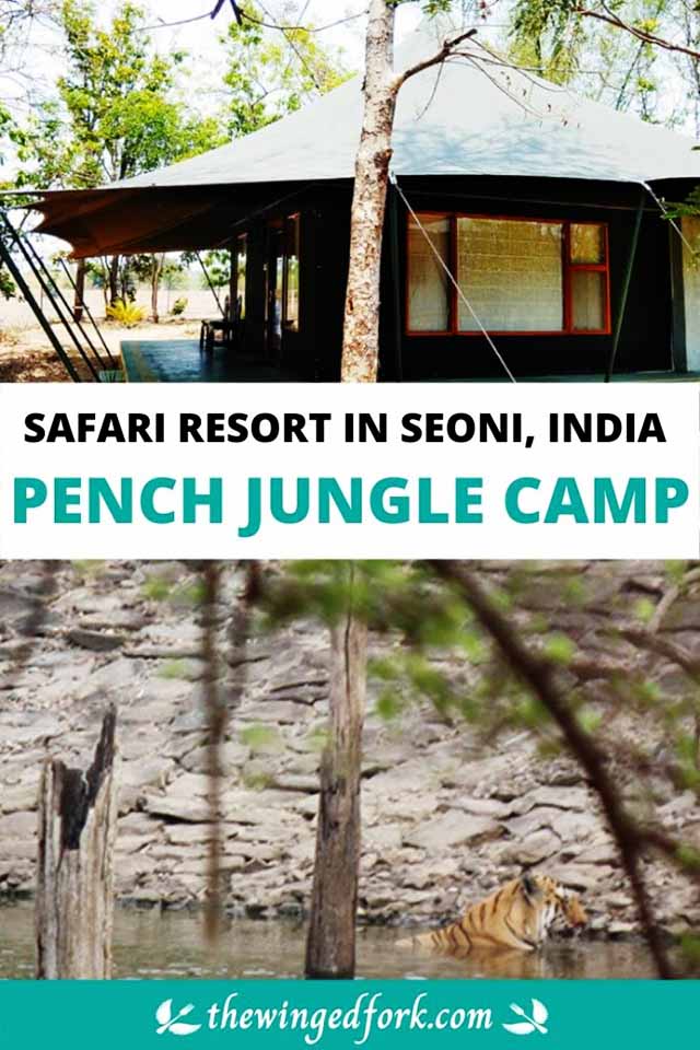 A safari stay at the Pench Jungle Camp in Seoni India.