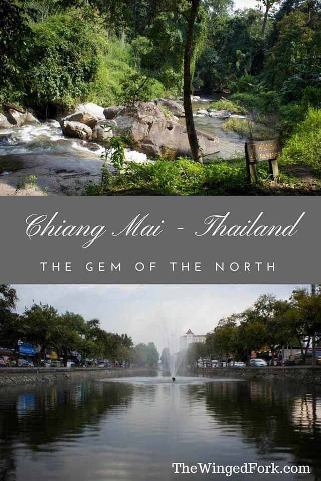 Chiang-Mai---TheWingedFork---greenery.