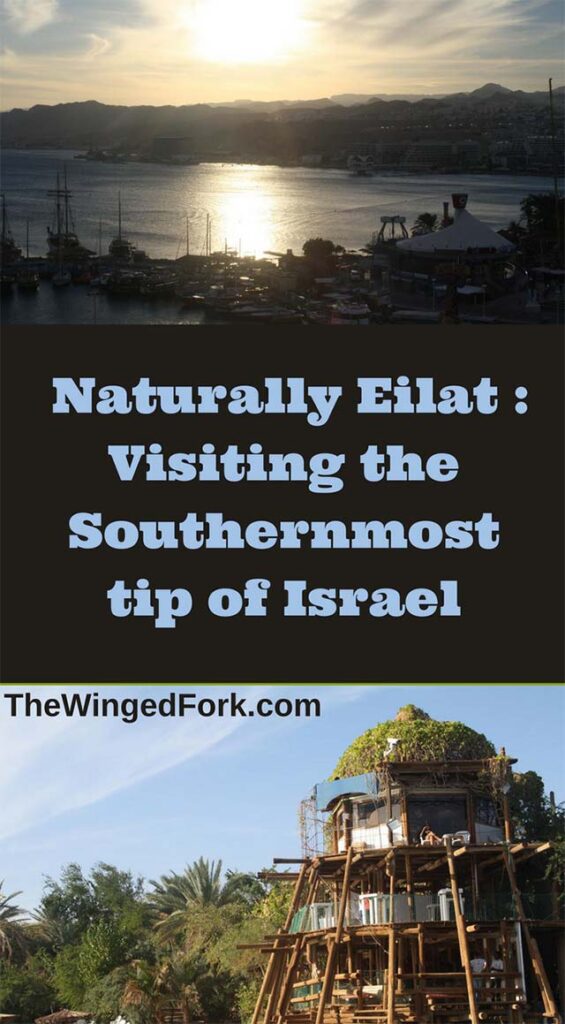 Beautiful Eilat, Israel - TheWingedFork.
