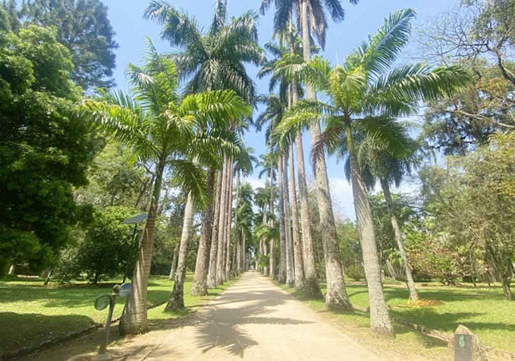 Jardim Botanical Garden.