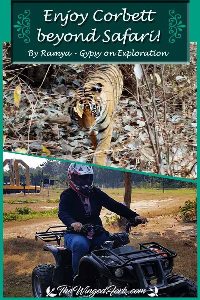 Pinterest images tiger sighting and enjoying adventure activity at the resort.