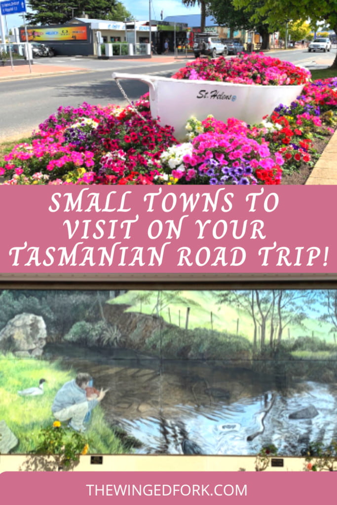 Pinterest image of small towns to visit on your Tasmanian roadtrip.