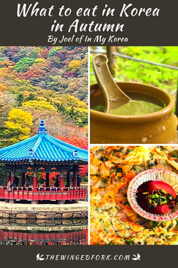 Pinterest image what to eat in Autumn in Korea.