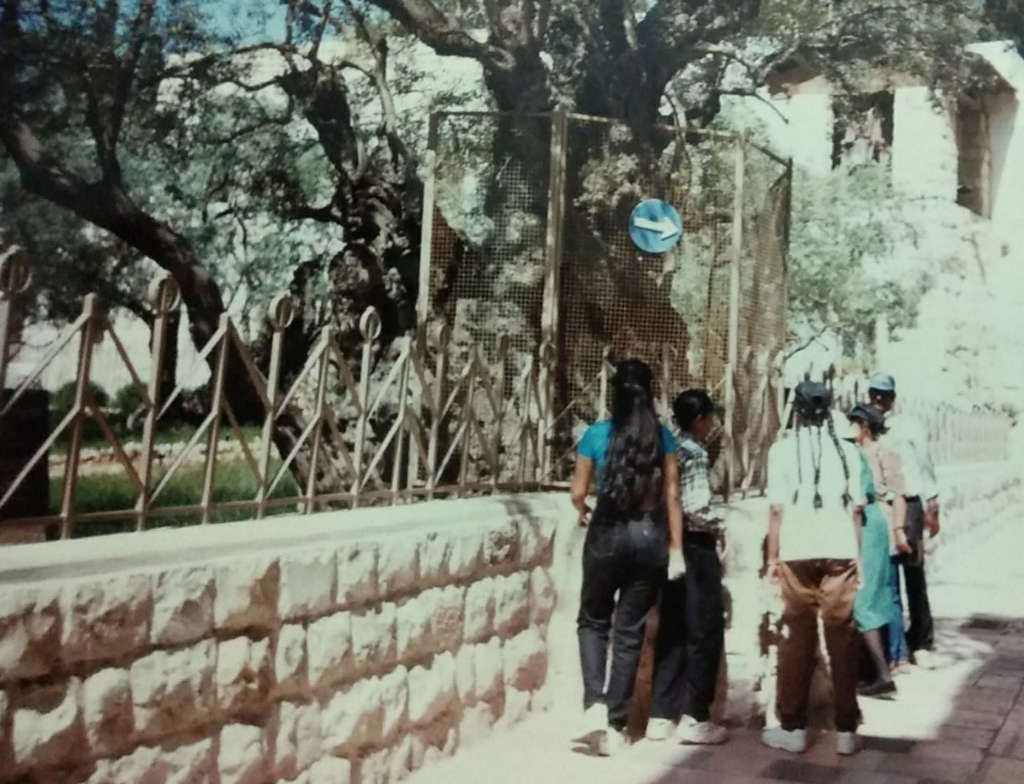 Abby's old family pic at the Garden of Gethsemane.